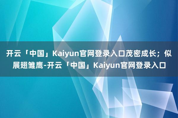 开云「中国」Kaiyun官网登录入口茂密成长；似展翅雏鹰-开云「中国」Kaiyun官网登录入口