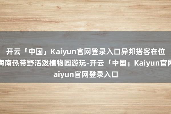 开云「中国」Kaiyun官网登录入口异邦搭客在位于海口的海南热带野活泼植物园游玩-开云「中国」Kaiyun官网登录入口